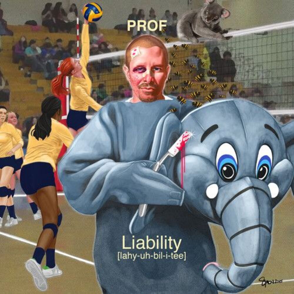 Prof - Liability  CD
